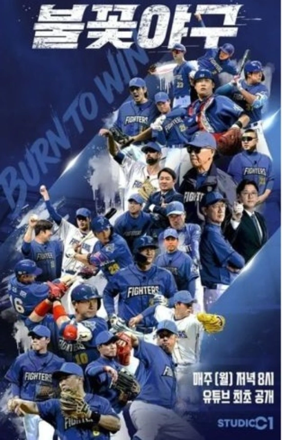 Court Confirms Ban on 'Flaming Baseball' Production