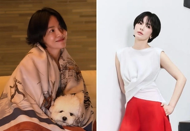 송혜교, 자연스러운 붙임머리 반전