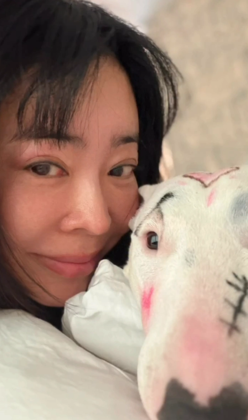 이혜영 반려견 메이크업 논란