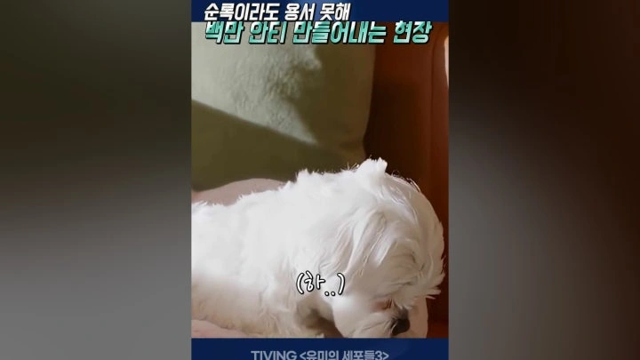 韓国ドラマ「ユミの細胞たち3」CJ ENMが笑った