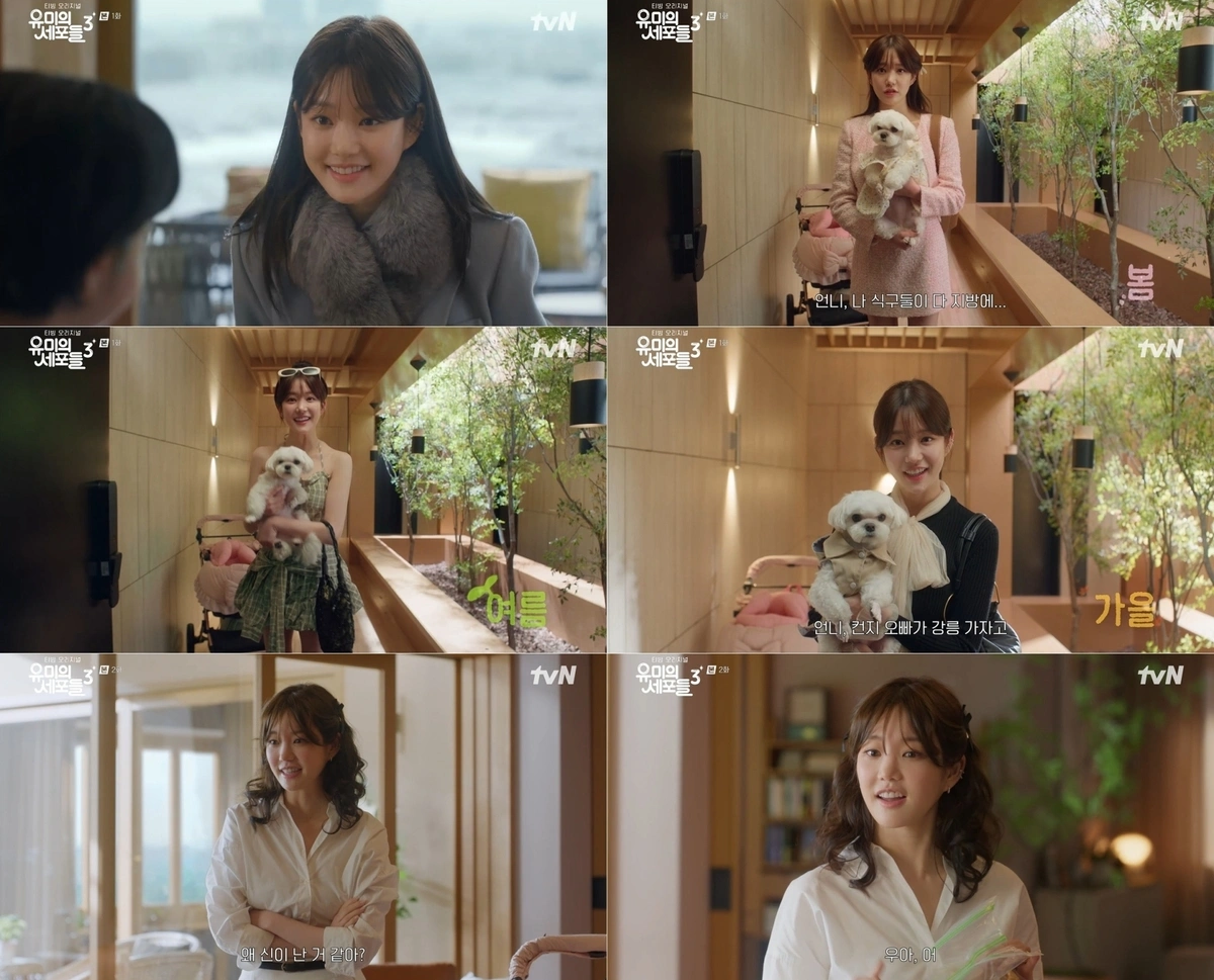 Yumi's Cells Season 3: Why Lee Yu-bi's Ruby is Back