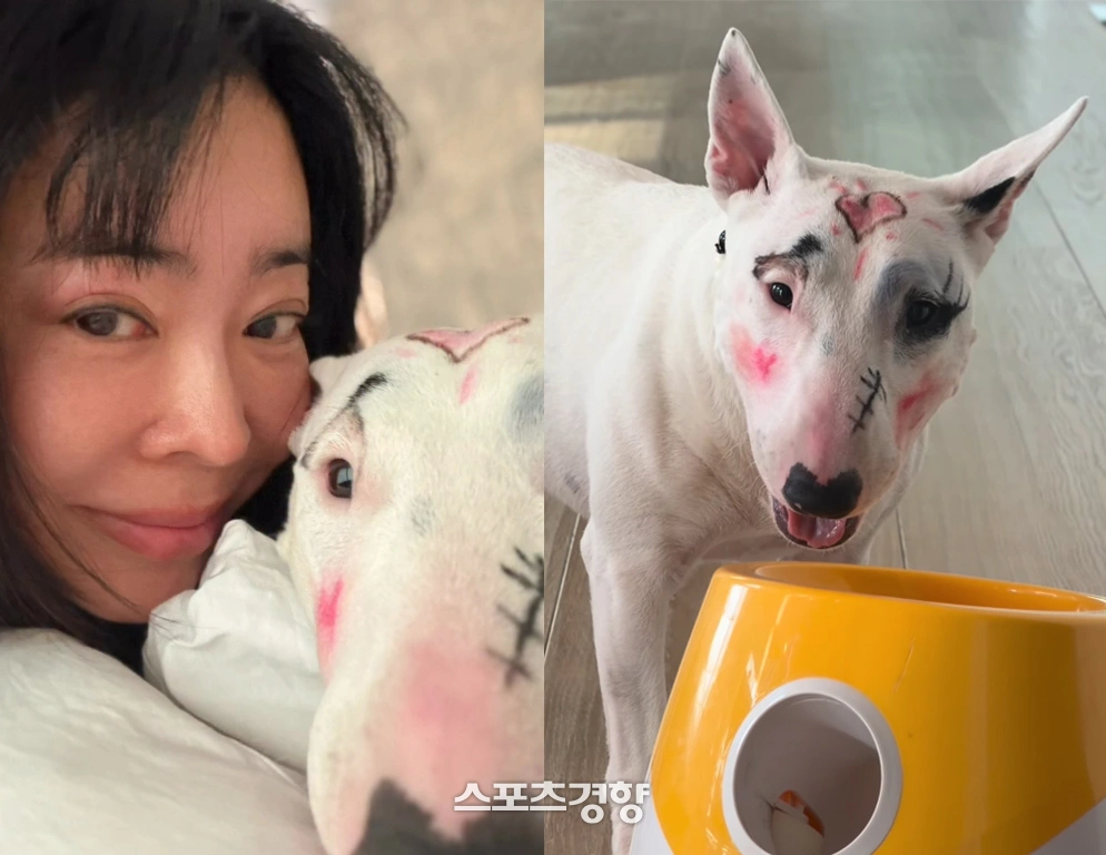 イ・ヘヨン愛犬メイク論争、韓国で炎上