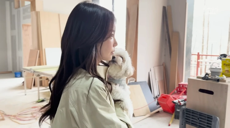 기은세, 인테리어 민폐 논란