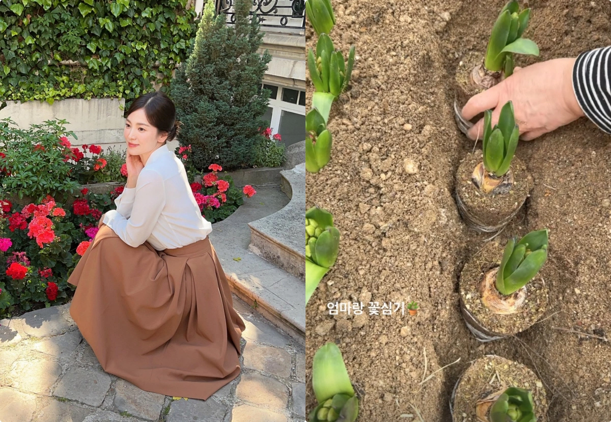 송혜교, 母와 텃밭 꽃심기 데이트