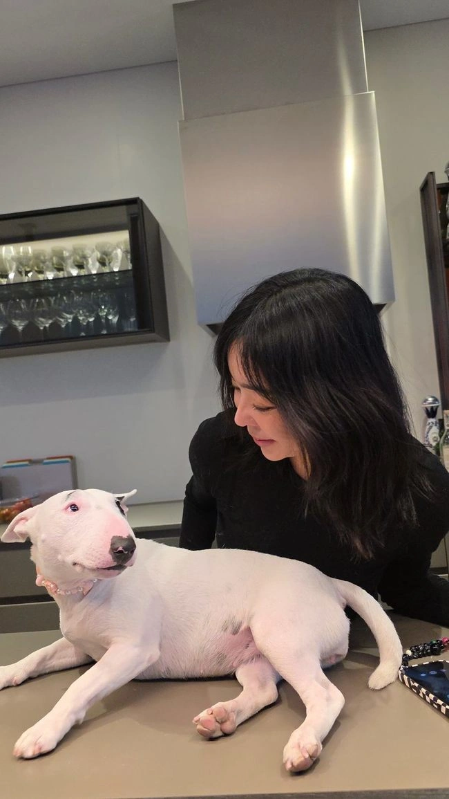 イ·ヘヨン、愛犬虐待疑惑を釈明