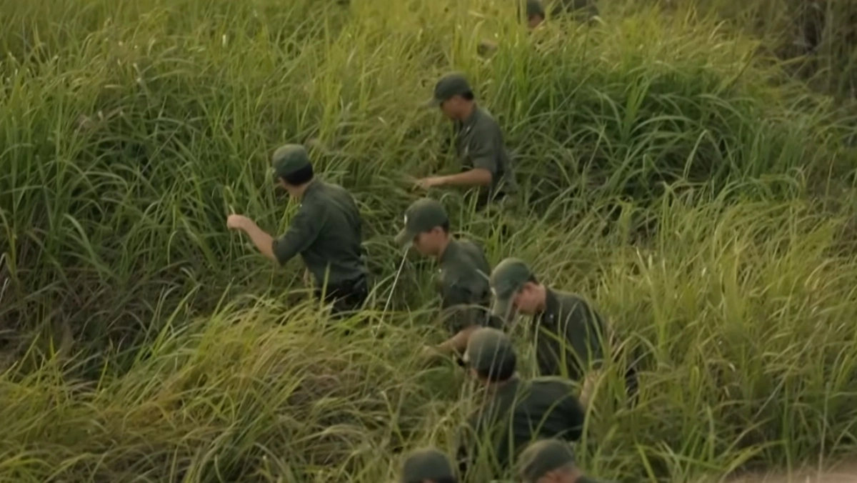 Scarecrow Hits Record 5% Viewership