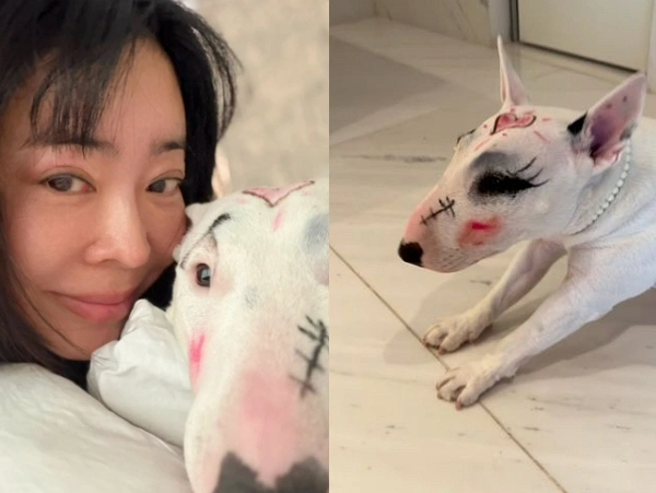 イ·ヘヨン、愛犬虐待疑惑を釈明