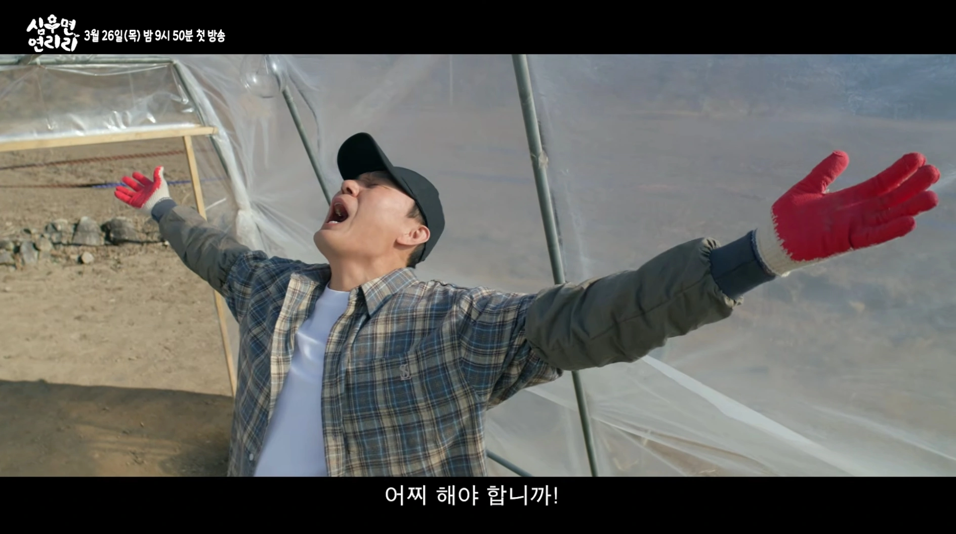 심우면 연리리 가족드라마 시간