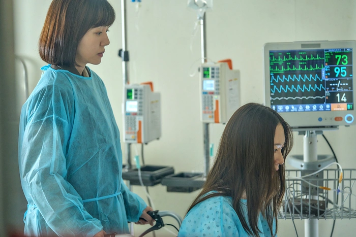 イム・スジョン、クモの巣からビルオーナーまで