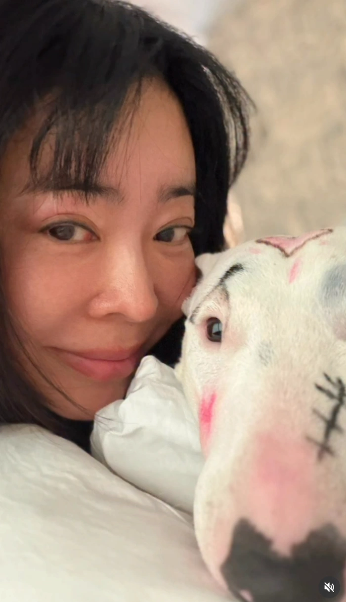 이혜영 반려견 풀메이크업 논란