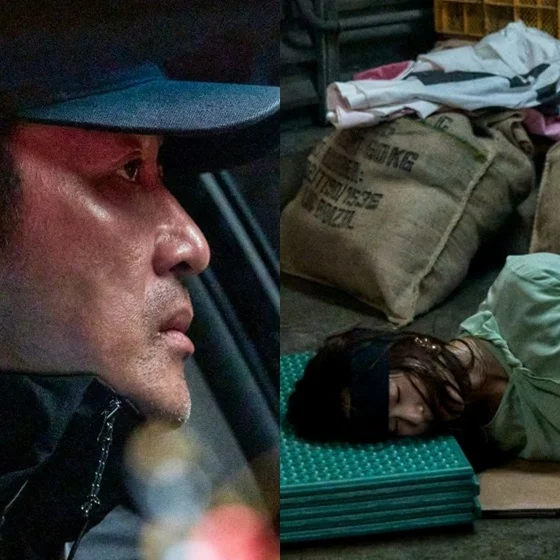 하정우, 정수정 납치극 가담