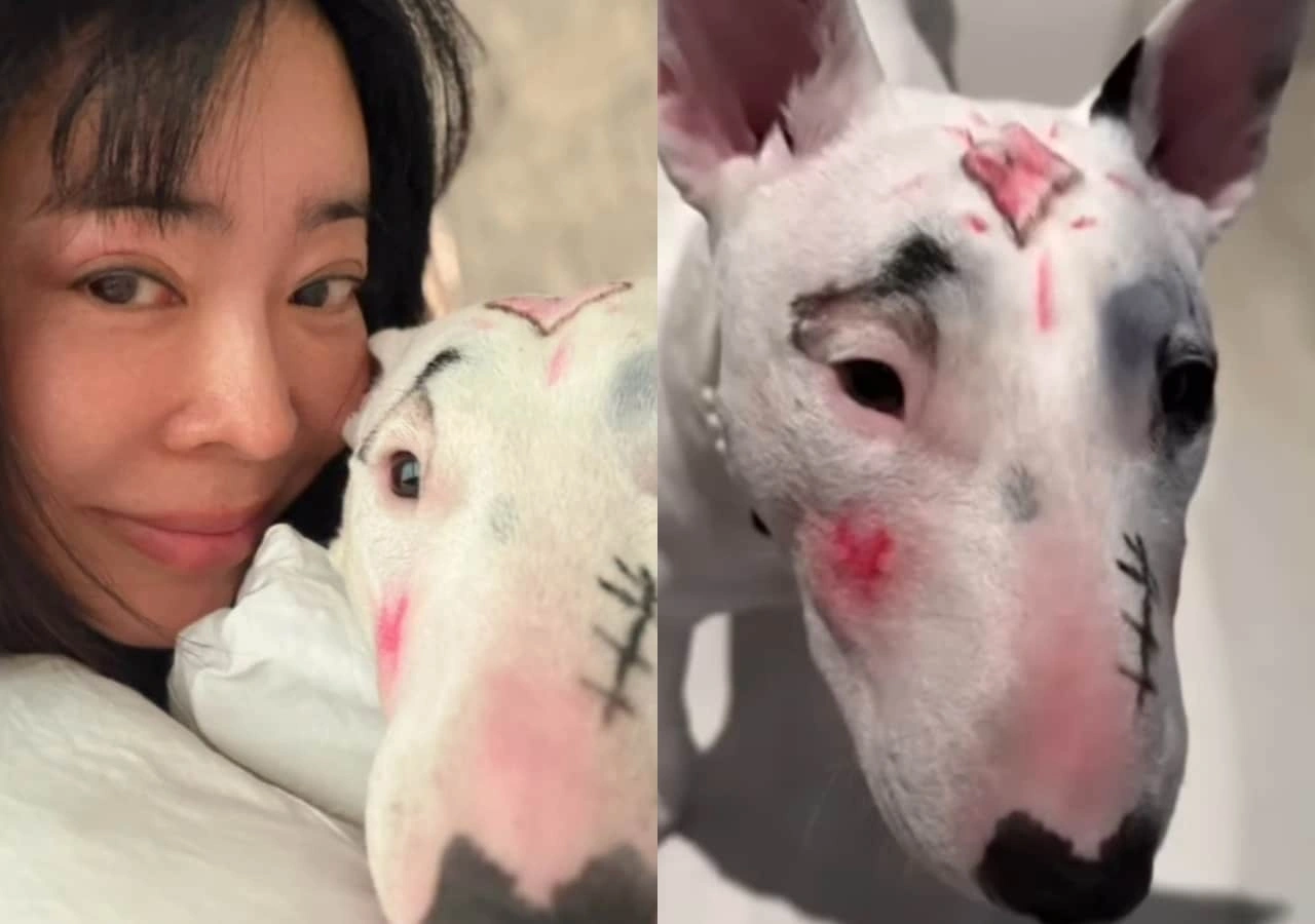 Lee Hye-young Addresses Dog Abuse Controversy