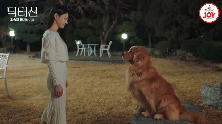 韓国ドラマ女優チュ・セビン、脳チェンジ手術とは？