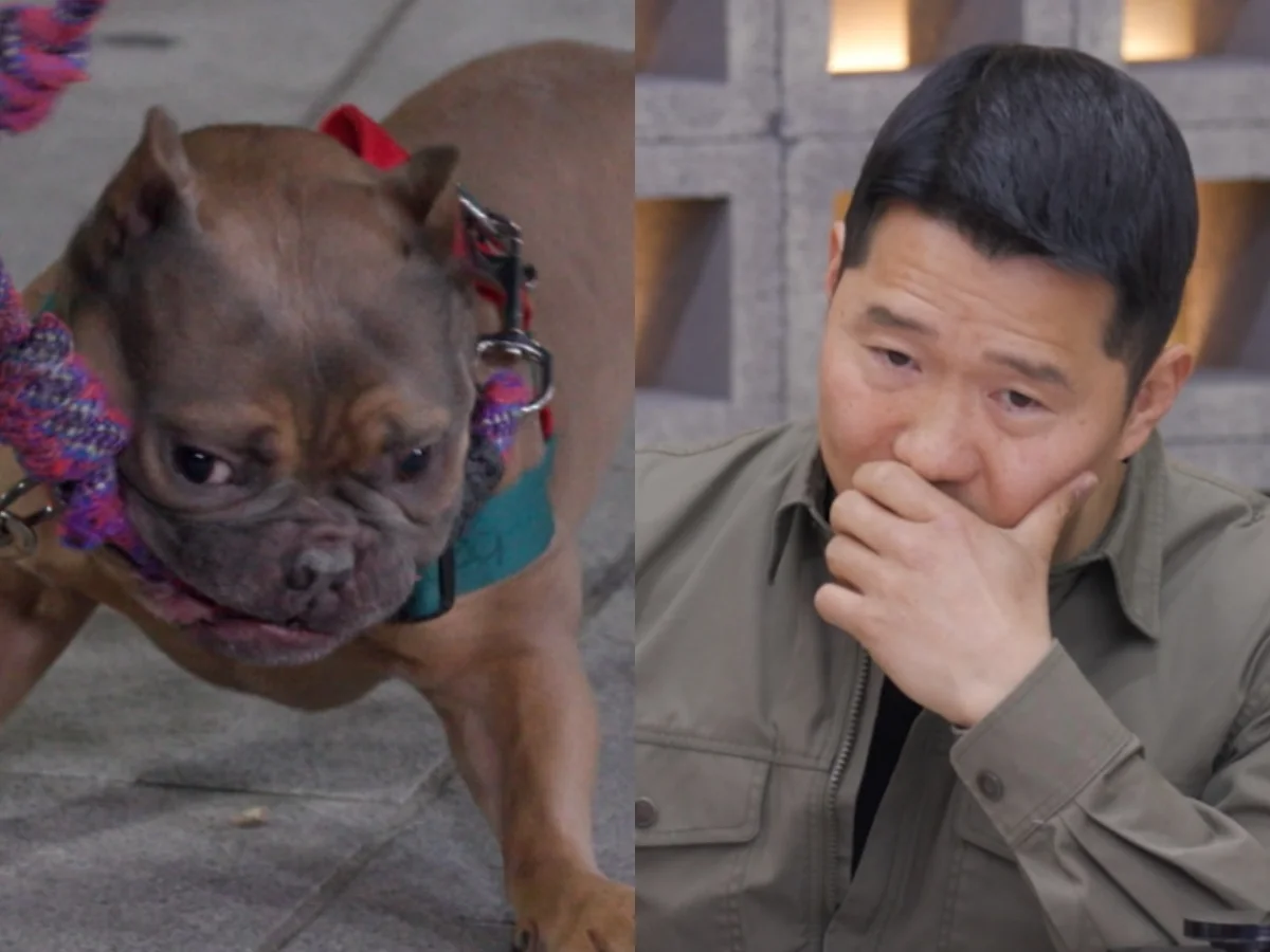 Kang Hyung-wook, MRI scan while playing with dog