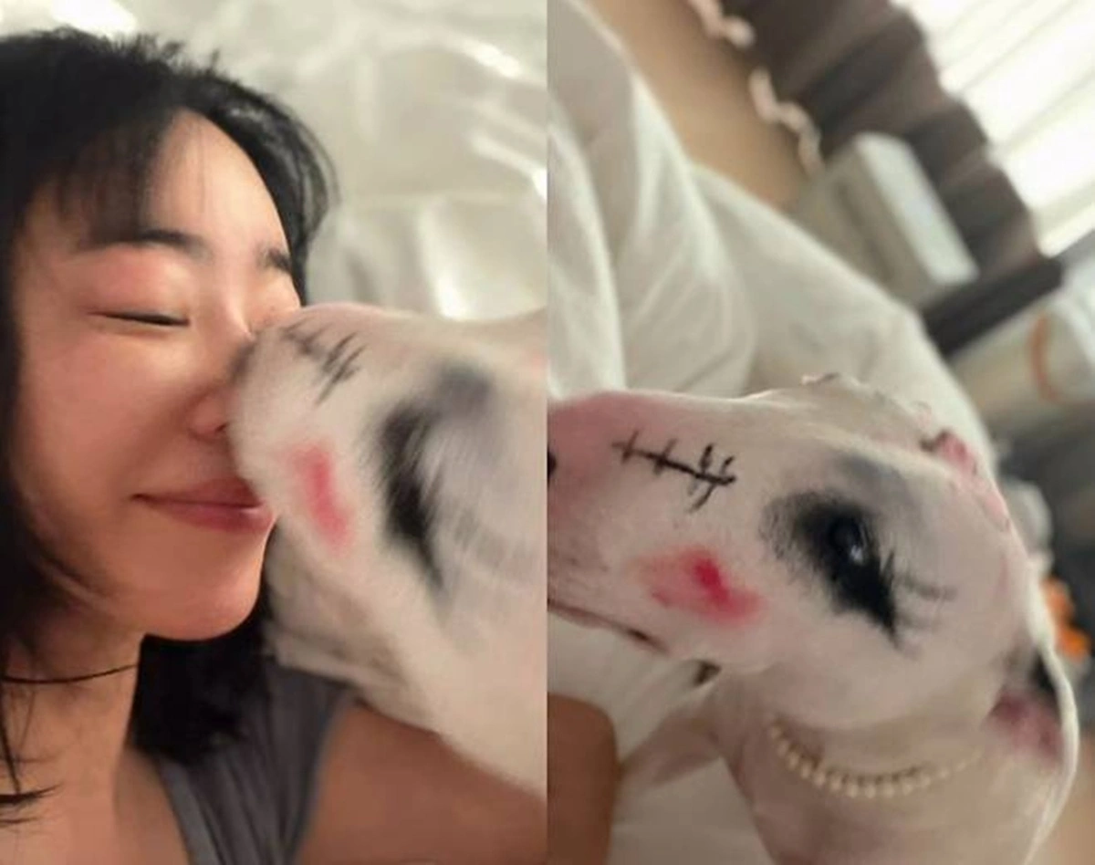 イ·ヘヨン愛犬フルメイク論争