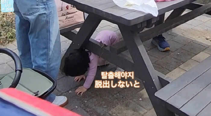 심형탁·사야, 하루 돌발행동 당황