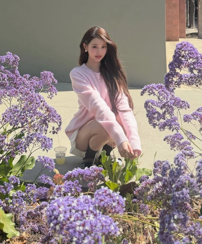 아이브 장원영, 핑크빛 인간꽃