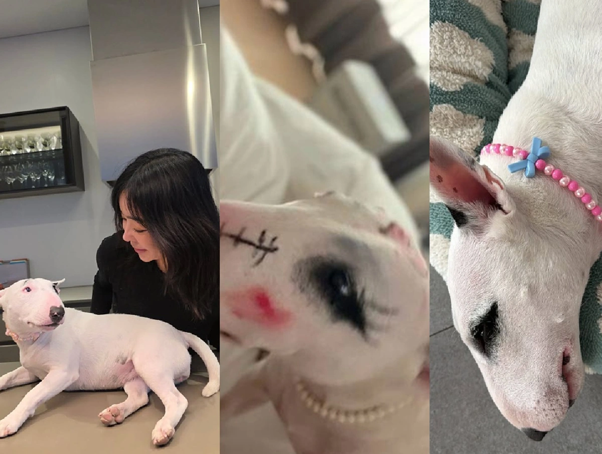 イ·ヘヨン、愛犬虐待疑惑を釈明